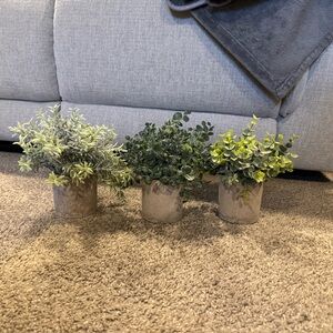 3 faux plants